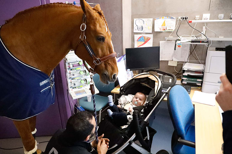 Peyo cheval cardiopédiatrie enfants