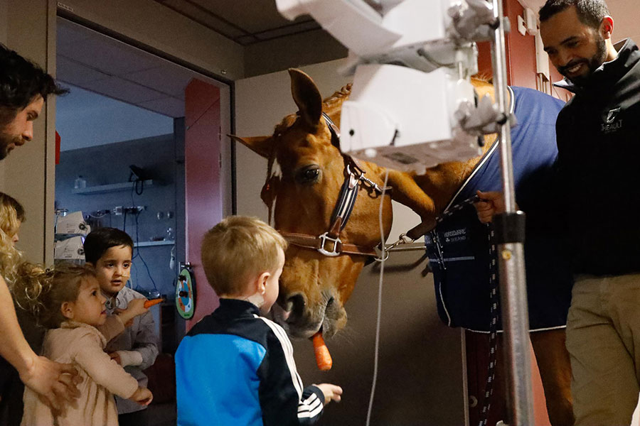 Peyo cheval cardiopédiatrie enfants 3