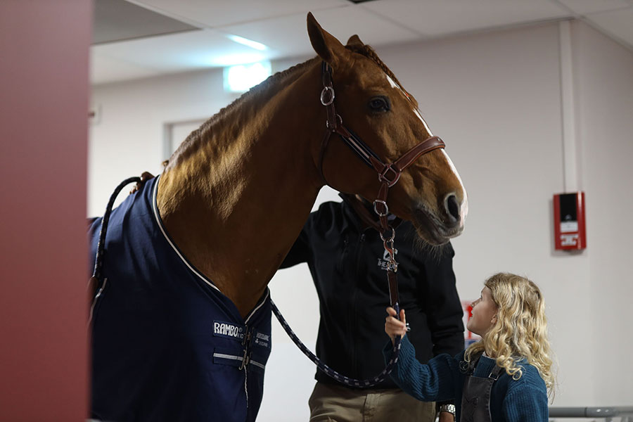 Peyo cheval cardiopédiatrie fillette