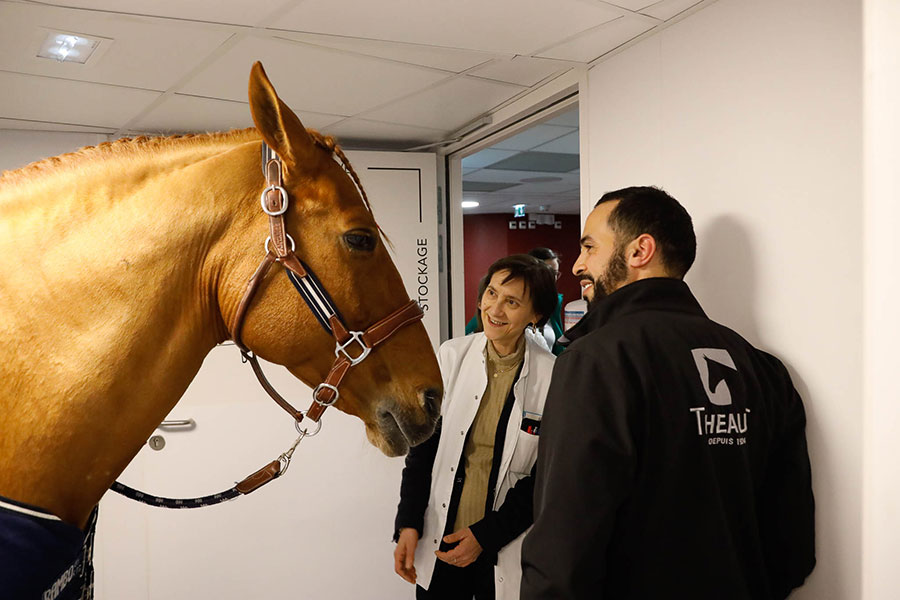 Peyo cheval cardiopédiatrie Pr Di Filippo