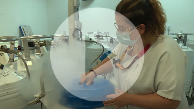 Vitrification ovocytaire