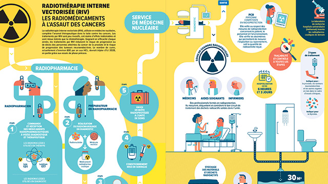 Prévisualisation infographie RIV