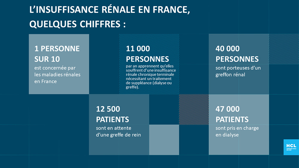 Chiffres de l'insuffisance rénale en France