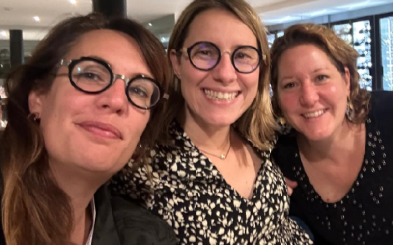 S Lemoine, J Bacchetta & AL Sellier-Leclerc, HCL