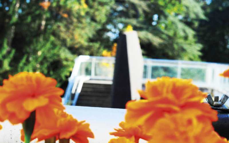 Henry Gabrielle, vue sur fleurs et terasse