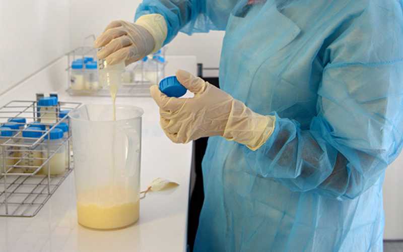 Au sein du lactarium Auvergne-Rhône-Alpes