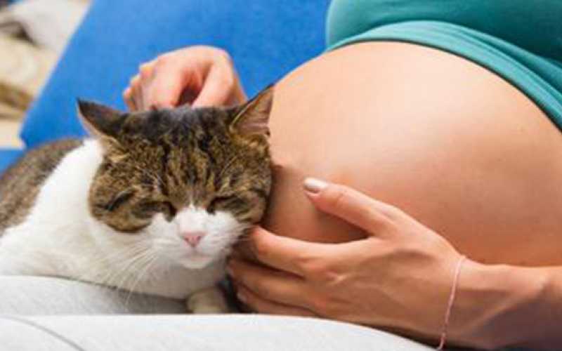 Femme enceinte avec un chat