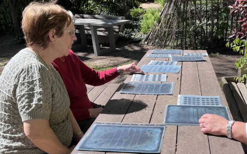 Personnes âgées assises sur un banc en bois à l'extérieur avec sur la table des exemples de cyanotype