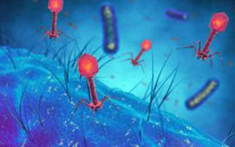 Projet PHAG-ONE pour lutter contre la résistance aux antibiotiques