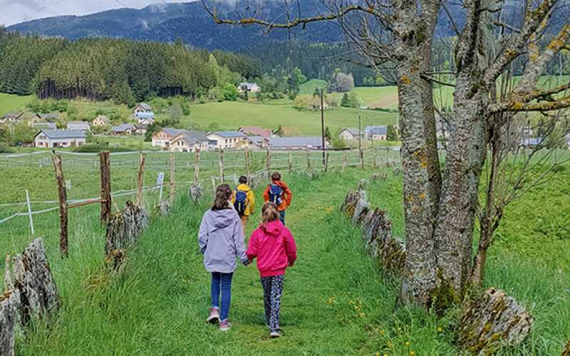 4 enfants de dos sur un chemin