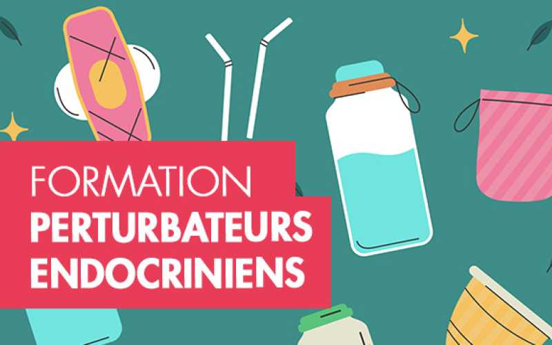 Formation perturbateurs endocriniens en blanc sur fond rose foncé avec des bouteilles plastique... en fond