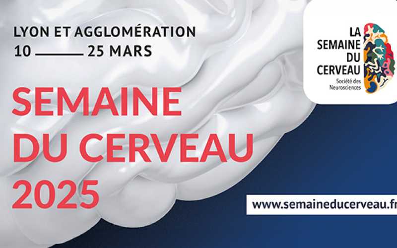 Semaine du cerveau 2025