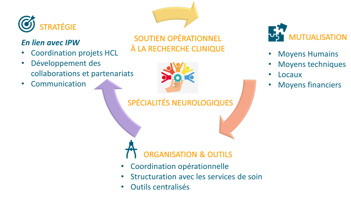 Activités CMRC Neuro