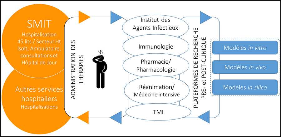 Projet SUMMIT :  parcours du patient au cœur du soin et de la recherche