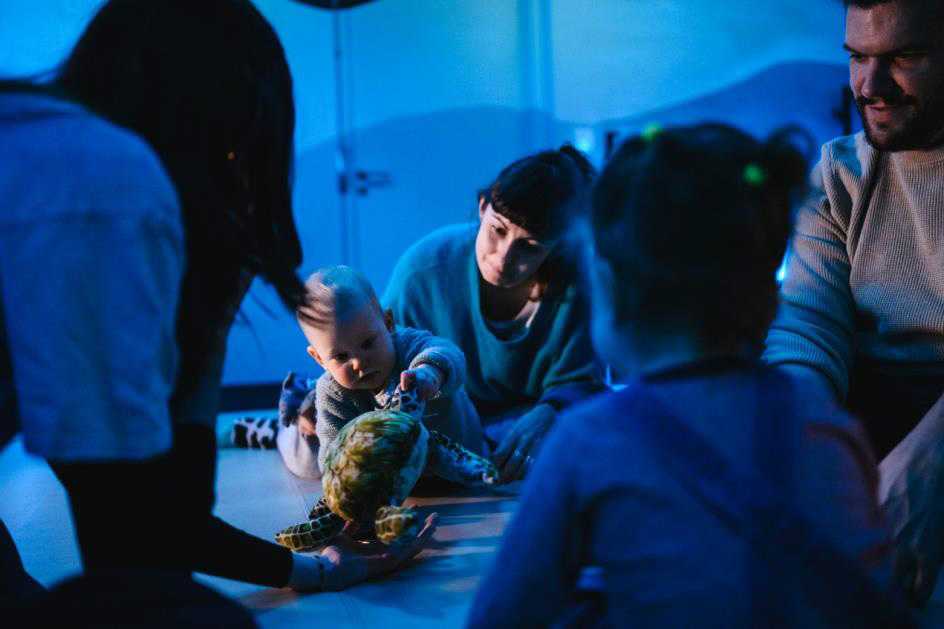 Univers tamisé bleu avec un enfant à plat vente qui attrape une pelluche tortue et des des parents autout au sol qui le regardent