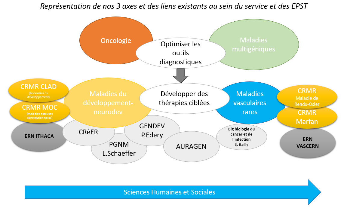 L’axe est composé de 4 PU-PH, 3 MCU-PH et 11 PH