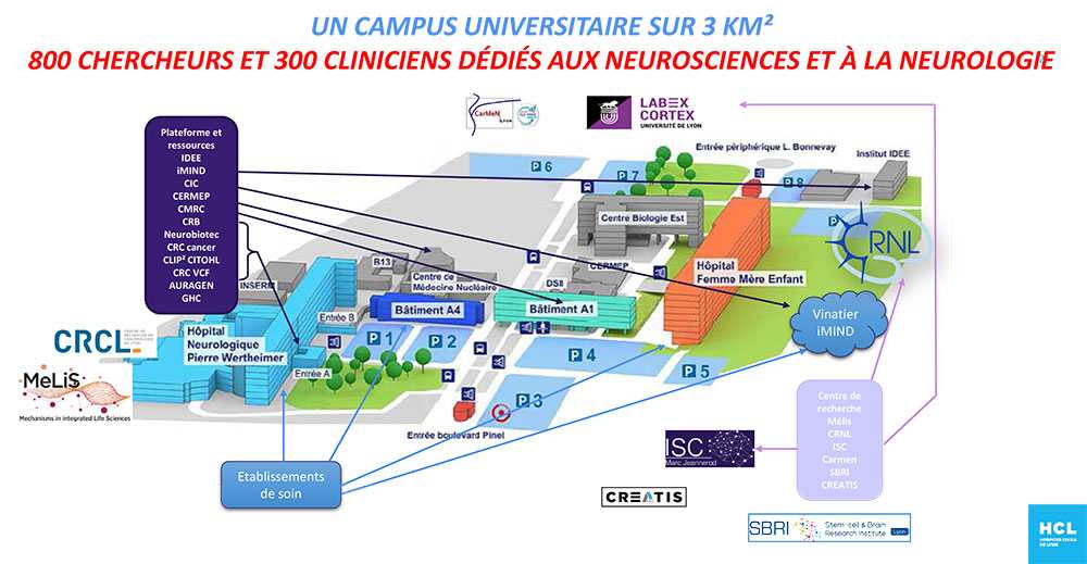 Un campus universitaire sur 3km2 : 800 chercheurs et 300 cliniciens dédiés aux neurosciences et à la neurologie