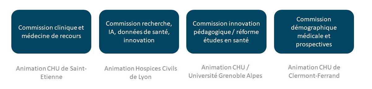 Commissions du GCS HOURAA