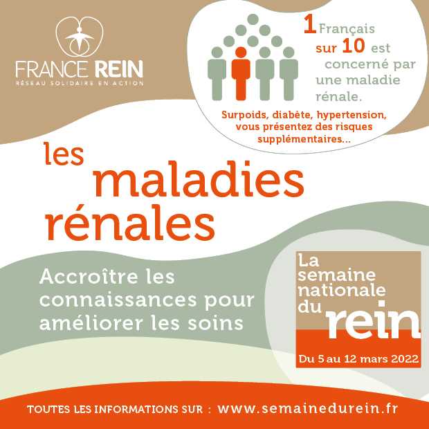 Les maladies rénales : journée nationale du rein (France Rein)