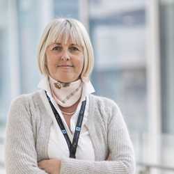 Fiche métier gestionnaire des ressources humaines