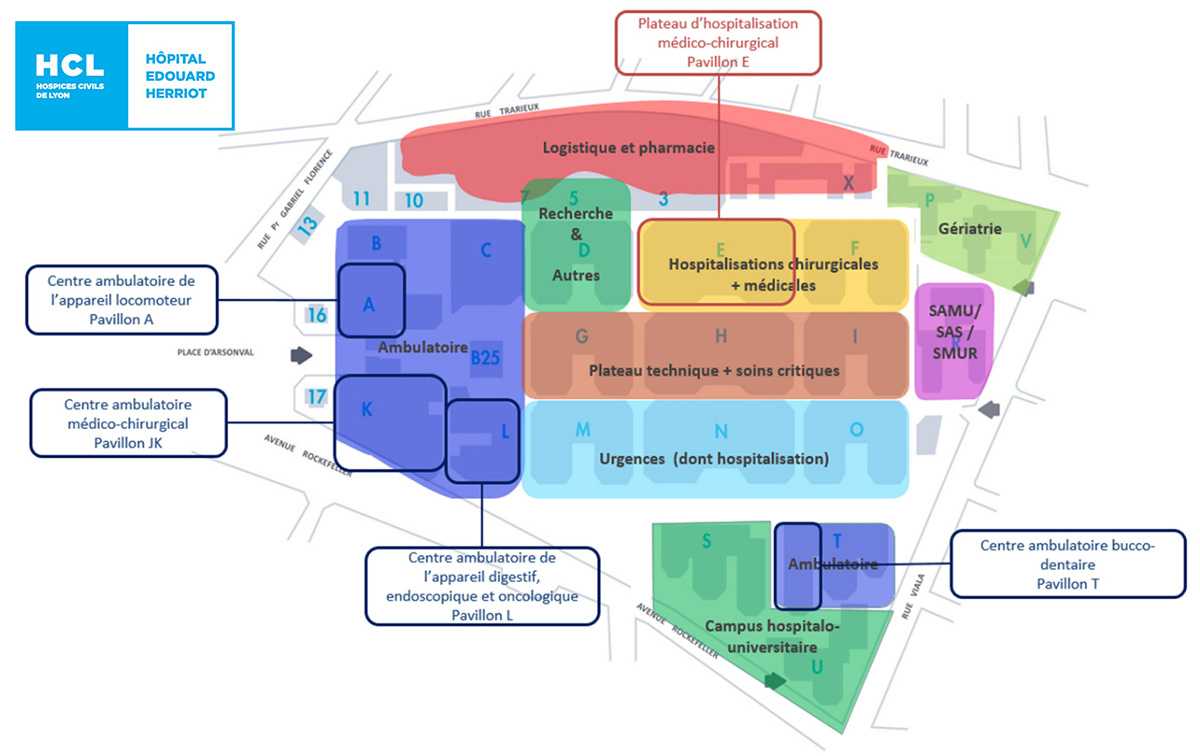 Organisation projetée à horizon 2035 de l'hôpital Edouard Herriot