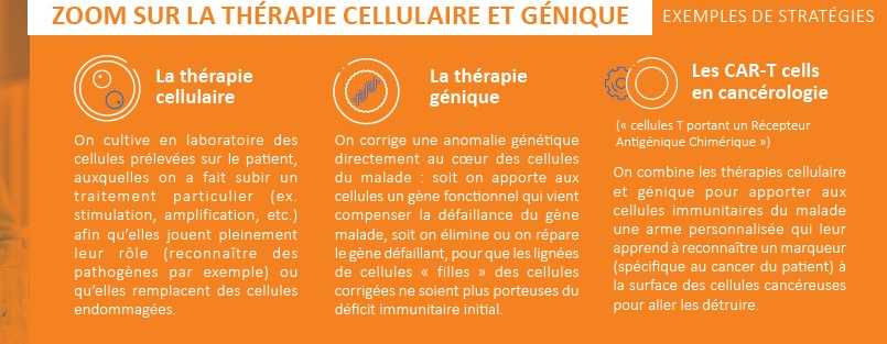 Zoom sur les thérapies cellulaires et géniques