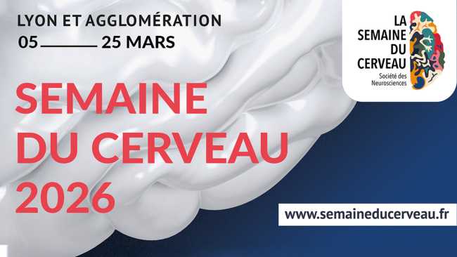 Slider semaine du cerveau