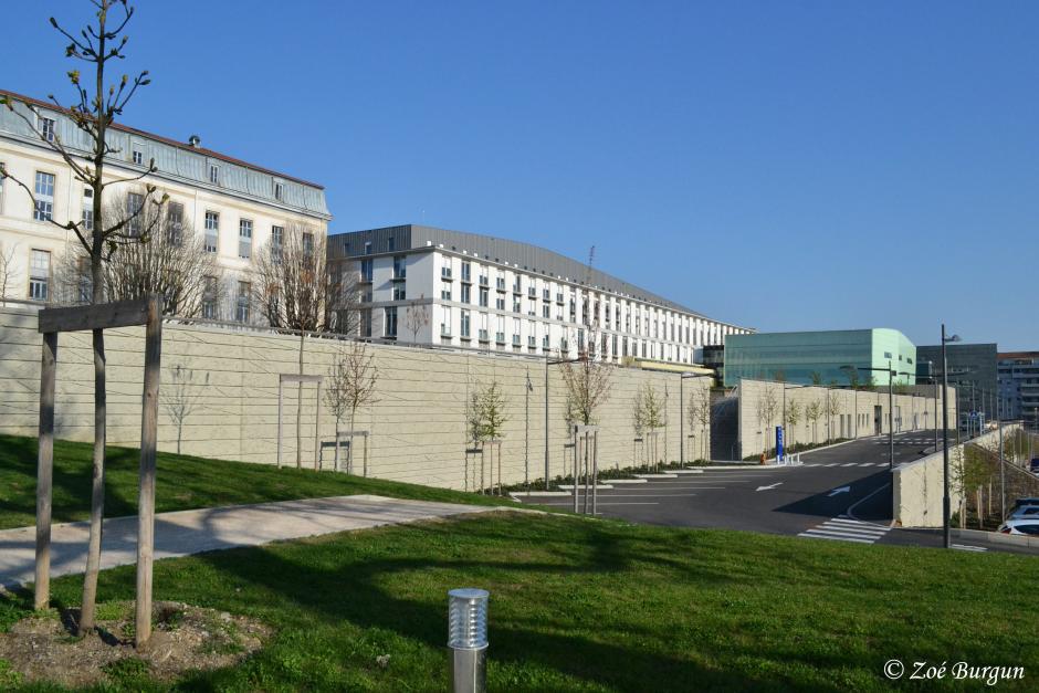 Organisation de la transplantation hépatique aux Hospices Civils de ...